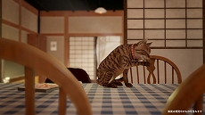 ꡼ No.008Υͥ / ǭȤʤäƸ̱Ȥõޤޤο롣֤ޤǭƨޤסSteam꡼