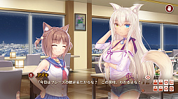 ꡼ No.003 | NEKOPARA After