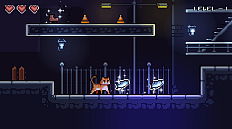 Midnight Cat Heist