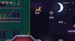 Midnight Cat Heist
