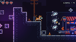 Midnight Cat Heist