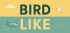 ѥå