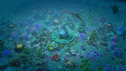 画像ギャラリー No.007のサムネイル画像 / 海洋SLG「Life Below」に登場してほしい海の生きものは？　日本近海の5種を対象に読者アンケートを行います