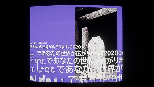 ꡼ No.008Υͥ / ۳ν̱˿٤ʤ褦˵ĤʤæФܻؤۥ顼ֵסSteamۿ