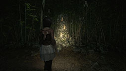 画像ギャラリー No.011のサムネイル画像 / 「零 〜紅い蝶〜 REMAKE」,体験版を3月5日に配信。「SILENT HILL f」とのコラボも決定し,無料DLCで特別衣装が登場