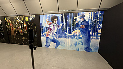 ꡼ No.019Υͥ / ζǡ״Ÿݡȡ뺧򵷡֤魯ġĿΥɥޤơޤˡζǡפ餷̣廊