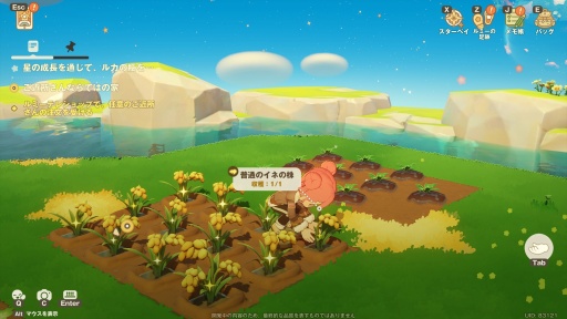 ꡼ No.034Υͥ / Υץ쥤ݡޤ뤴ȥʥ롪 HoYoverseο饤ե֥ץץͥåȡצ¥ƥȤ˻äƤߤ