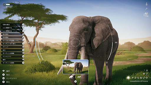 画像ギャラリー No.014のサムネイル画像 / サバンナの風を感じながらただシャッターを切る。野生動物撮影シム「Seclusa」（ほぼ日 インディーPick Up！）