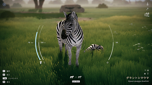 画像ギャラリー No.017のサムネイル画像 / サバンナの風を感じながらただシャッターを切る。野生動物撮影シム「Seclusa」（ほぼ日 インディーPick Up！）