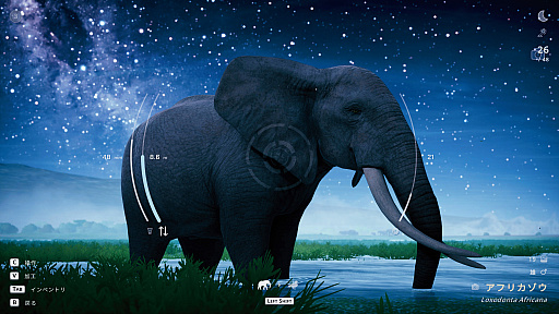 画像ギャラリー No.027のサムネイル画像 / サバンナの風を感じながらただシャッターを切る。野生動物撮影シム「Seclusa」（ほぼ日 インディーPick Up！）