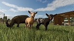 ꡼ No.008Υͥ / Switch2ѥեȡFarming Simulator: SignatureEditionפȯꡣFarming Simulator 25פ١˥ƥĳĥѥåϿ