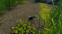 ꡼ No.002 | Strong Crab