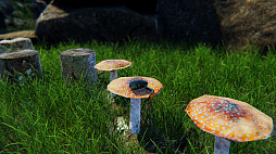 ꡼ No.003 | Strong Crab