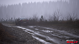 画像ギャラリー No.008のサムネイル画像 / 「Assetto Corsa Rally」，Peugeot 306 II Maxi Kit CarとSubaru Impreza S3 Group Aが登場