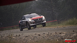 Assetto Corsa Rally