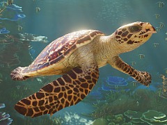 【今週のモチベ】動物園シム「Planet Zoo 2」や，シリーズ最新作「Castlevania: Belmont’s Curse」が発売される 2026年10月12日〜10月18日