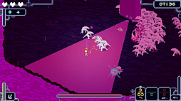 ꡼ No.003 | Bermuda Survivor