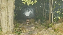 ꡼ No.029 | ̸β Misty Onsen