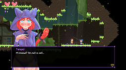 ꡼ No.004 | Meowphoria