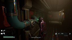 ꡼ No.005 | Species: Unknown