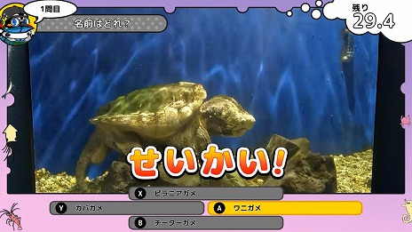 ꡼ No.010Υͥ / 饷䥿ĥΥȥ򹥤ʤѻǤ롣ΰ饲֤ĤǤѥ Υο²ۿ޴աSwitch1120ȯ