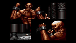 ꡼ No.002 | ĶCOLLECTION