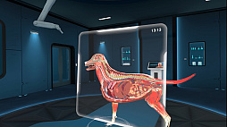Animal Anatomy VR