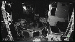 画像ギャラリー No.006のサムネイル画像 / 「日本事故物件監視協会2」,Steamで配信開始。事故物件の監視員として働く“異常現象監視ゲーム”