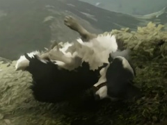 Ӹˤʤä»ҤӤߤADVThe Free Shepherdפȯɽˡȯ2027ǯ