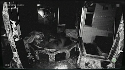 ���������꡼ No.002�Υ���ͥ������ / �����ܻ���ʪ��ƻ붨��2 -JSP2-��iOS / Android�Ǥ��ۿ��򳫻ϡ��ºߤ������ʪ��δƻ��Ȥ�Ԥ��ۥ顼������