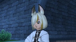 画像ギャラリー No.018のサムネイル画像 / 「ドラクエX オンライン」,最新追加パッケージ「時空の迷い子たち」を2026年6月25日に発売。新たなオールオンワンパッケージもリリース予定