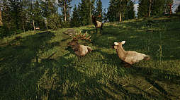 ��󥸥㡼���ѥ����ʥ���ʥ�ѡ������ߥ�졼����