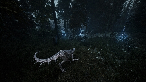 ���������꡼ No.001�Υ���ͥ������ / �ü�����Ȥ��ư�ʪ��������뤫���Ѱ��ΤȤʤ�ʹ֤򽱤��������оη���PvPvPvE��æ�Х��塼������Beautiful Light�ס��ǿ��ȥ쥤�顼�����