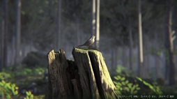 画像ギャラリー No.010のサムネイル画像 / ある噂をきっかけに蒼木ヶ原樹海に足を踏み入れるが……。フルボイスで楽しめるSFサスペンスノベル「樹海迷路」，Steamで配信開始