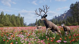 画像ギャラリー No.003のサムネイル画像 / 人気狩猟シムの続編「Way of the Hunter 2」が発表に。アナウンストレイラーが公開され，狩猟犬「ハンティングドッグ」などの新要素が登場