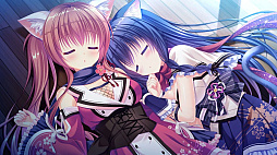 猫忍えくすはーと