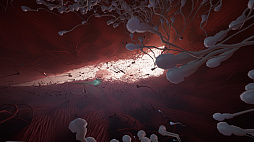 画像ギャラリー No.011のサムネイル画像 / 主人公は精子。ゴールを目指して体内を駆け抜けるアドベンチャーゲーム「Become」が発表,あわせてアナウンストレイラーも公開