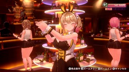 バニーガーデン2