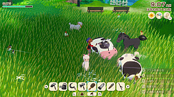 牧場物語 Let's!風のグランドバザール