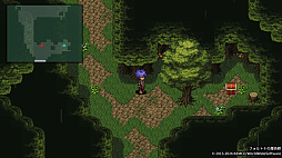 フォルトナの魔術師