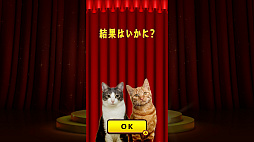 ウチの猫に聞いてみた！ボクの飼い主、何点？飼い主チェックーあなたの愛猫、実は辛口！？ 飼い主への本音、ついに解禁！ー