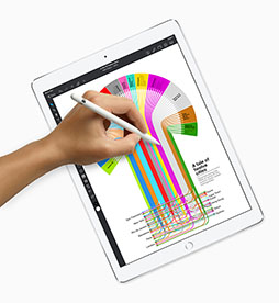 AppleiPad Proפȯɽվѥͥ12.9ȡ9.710.52ǥŸ