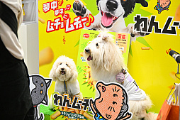 画像ギャラリー No.028のサムネイル画像 / 犬猫のお写真をいっぱい撮っただけでゴメンナサイ！　おもしろワンニャンアイテムたくさんの“インターペット2026”