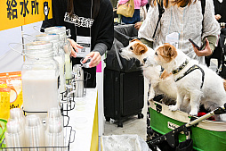 画像ギャラリー No.029のサムネイル画像 / 犬猫のお写真をいっぱい撮っただけでゴメンナサイ！　おもしろワンニャンアイテムたくさんの“インターペット2026”