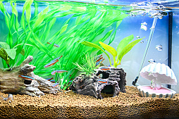 画像ギャラリー No.041のサムネイル画像 / 犬猫のお写真をいっぱい撮っただけでゴメンナサイ！　おもしろワンニャンアイテムたくさんの“インターペット2026”