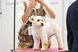 画像ギャラリー No.067のサムネイル画像 / 犬猫のお写真をいっぱい撮っただけでゴメンナサイ！　おもしろワンニャンアイテムたくさんの“インターペット2026”