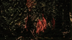 画像ギャラリー No.003のサムネイル画像 / 舞台が異なる2つの怪談話に潜む違和感を読み解く。短編ホラービジュアルノベル「恐怖夜話」，Steamで配信開始。セール価格は120円（税込）