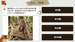 猫博士　下僕用ー本気で学ぶ猫様の取扱説明書ー