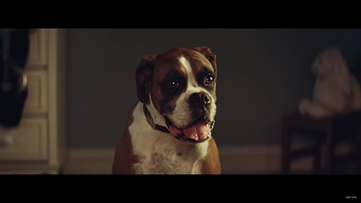 John Lewis Christmas Advert 2016 - #BusterTheBoxer