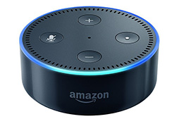 Google HomeפAmazon EchoפϥǤȤΡ ޡΤäƤ֥ޡȥԡפκȤ줫